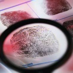 Missing Person or Asset Investigation Missing Person or Asset Investigation